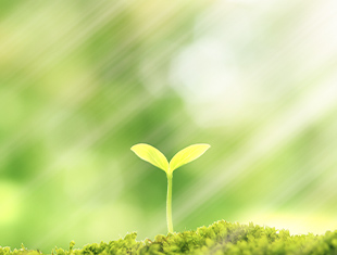 メッセージイメージ02